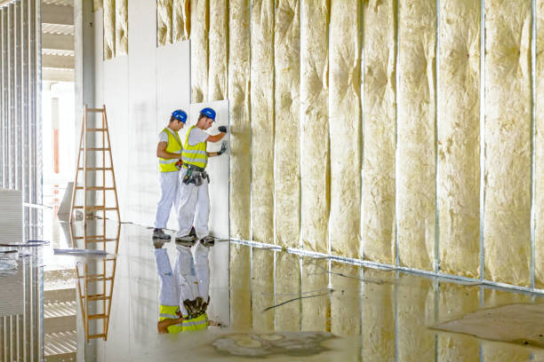Best Residential Insulation in Ashton, ID